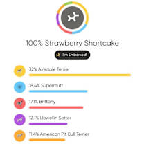 Thumbnail photo of Cake Litter- Strawberry Shortcake #2