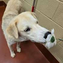 Thumbnail photo of Mint #1