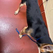 Thumbnail photo of Thumbalina #2