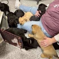 Thumbnail photo of Denali #1