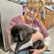 Thumbnail photo of Denali #3