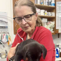 Thumbnail photo of Denali #4