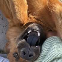 Thumbnail photo of ASUNA #3