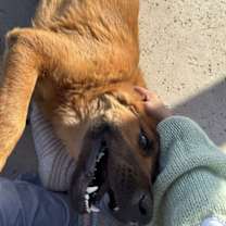 Thumbnail photo of ASUNA #4