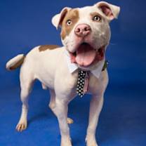 Thumbnail photo of Bond #3