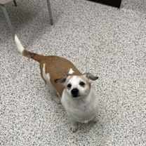 Thumbnail photo of Malaki #1