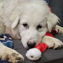 Thumbnail photo of Misty #2