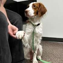 Thumbnail photo of UT/Echo #1