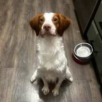 Thumbnail photo of UT/Echo #3