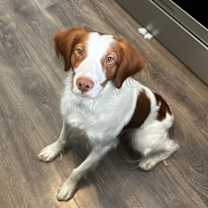 Thumbnail photo of UT/Echo #4