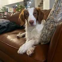 Thumbnail photo of UT/Echo #2