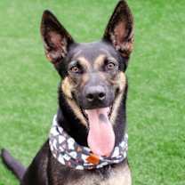 Thumbnail photo of Zuri #1