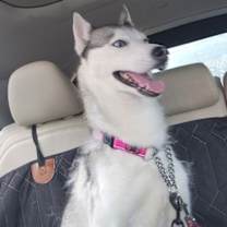 Thumbnail photo of Dancer #3