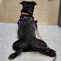 Thumbnail photo of Eve #4