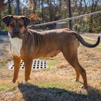 Thumbnail photo of Lola #3