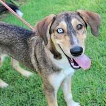 Thumbnail photo of Charlie #2