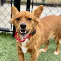 Thumbnail photo of Galileo #1