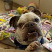 Thumbnail photo of Andre #2