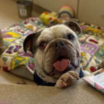 Thumbnail photo of Andre #3