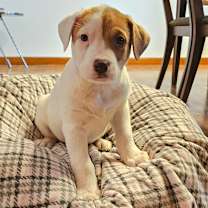 Thumbnail photo of Oatmeal #1