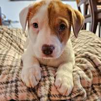 Thumbnail photo of Oatmeal #3