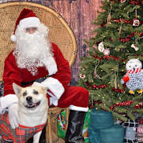 Thumbnail photo of Silas #1