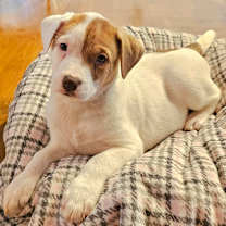 Thumbnail photo of Oatmeal #4