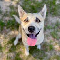 Thumbnail photo of Silas #2