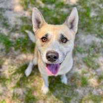 Thumbnail photo of Silas #3