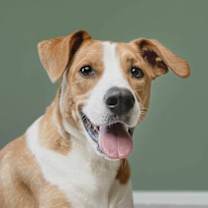 Thumbnail photo of Alexa #2