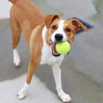 Thumbnail photo of Alexa #4