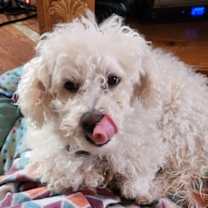 Thumbnail photo of Nolan in RI #1