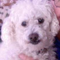 Thumbnail photo of Nolan in RI #2