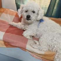 Thumbnail photo of Nolan in RI #3