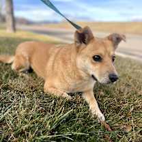 Thumbnail photo of Teddie #4