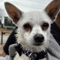 Thumbnail photo of 59984275 #2