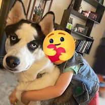 Thumbnail photo of Shasta #2