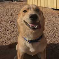 Thumbnail photo of Braven #1