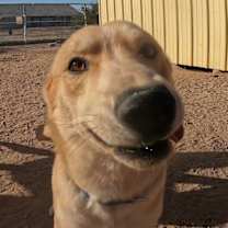 Thumbnail photo of Braven #2