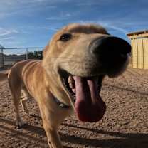 Thumbnail photo of Braven #3