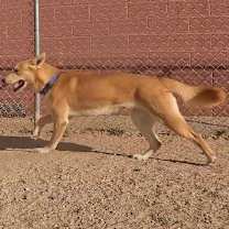 Thumbnail photo of Braven #4