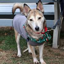 Thumbnail photo of Ramona #1