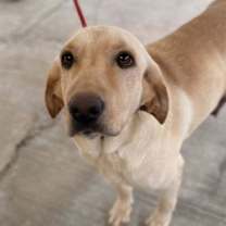 Thumbnail photo of Shannon #1