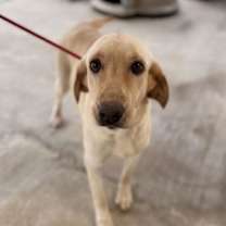 Thumbnail photo of Shannon #2