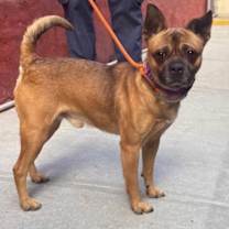 Thumbnail photo of Grimley #1