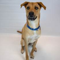 Thumbnail photo of Paxton #4