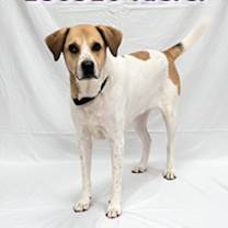 Thumbnail photo of Kiefer #2