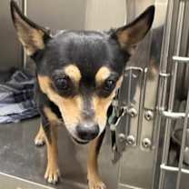 Thumbnail photo of Echo #2