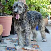 Thumbnail photo of Ricky #2