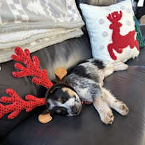 Thumbnail photo of Ruth #2